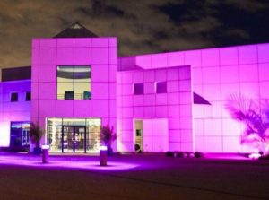 2016-paisley-park-studios-purple-light