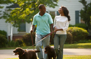 blackcouplewalkingdog