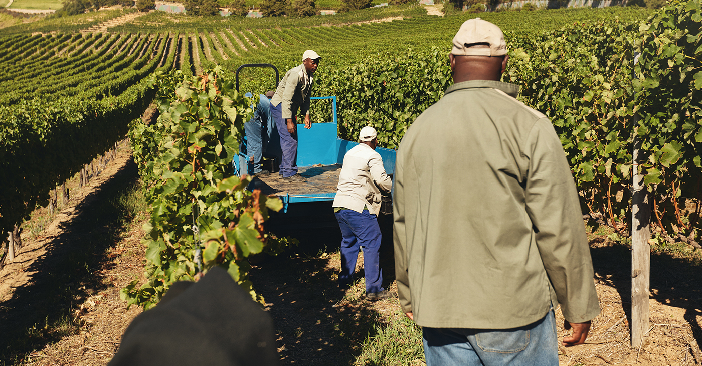 black-farmer-2021-african-americanfarmers