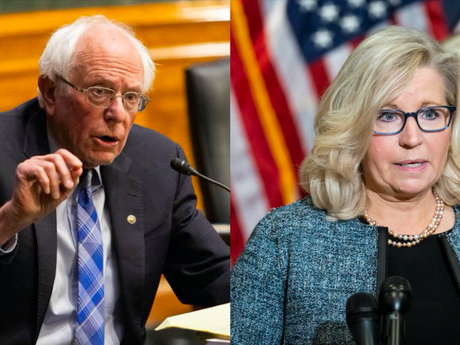 bernie-sanders-liz-cheney-2021